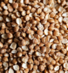 attachment-https://graciousbakers.efsolit.com/wp-content/uploads/2024/07/Buckwheat_7328effc-e8ea-447a-acb1-91cf90542cb6-100x107.png