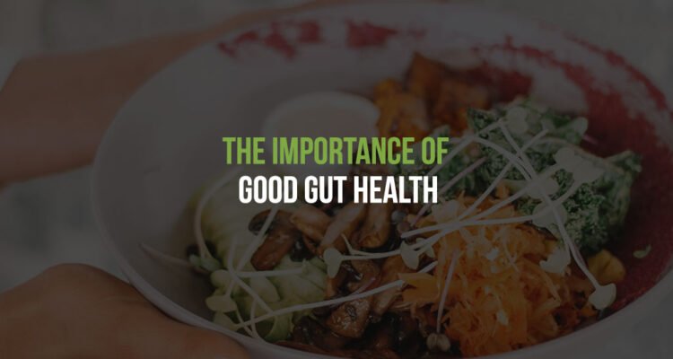 The Importance Of Good Gut Health