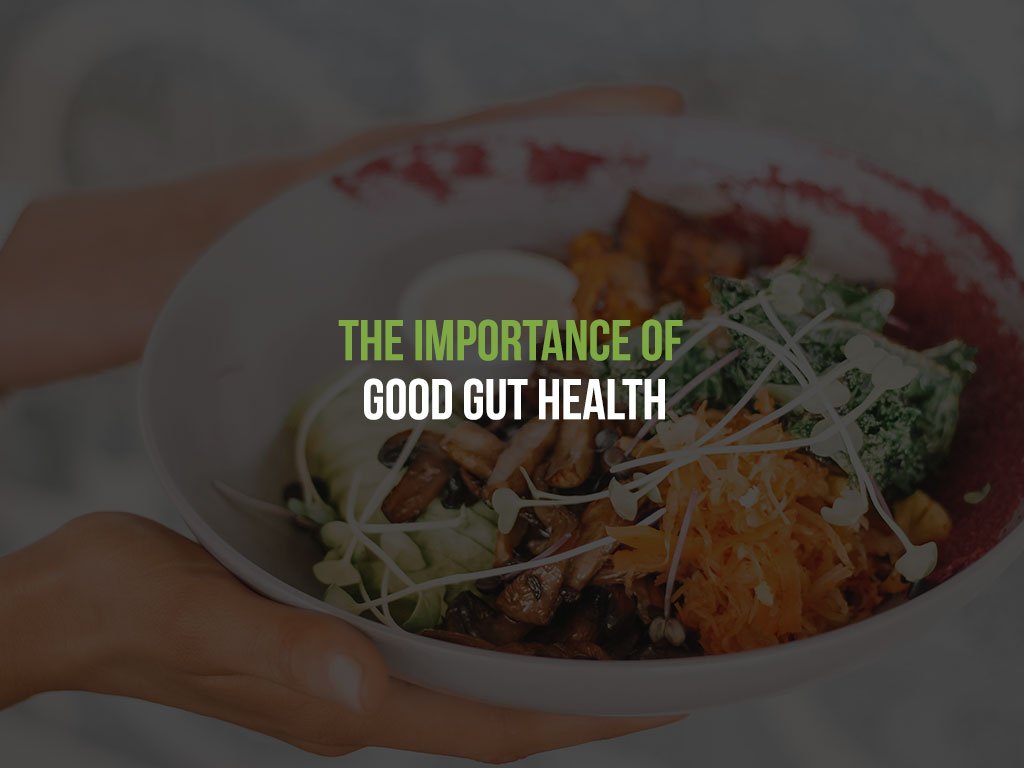 The Importance Of Good Gut Health