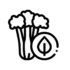 celery