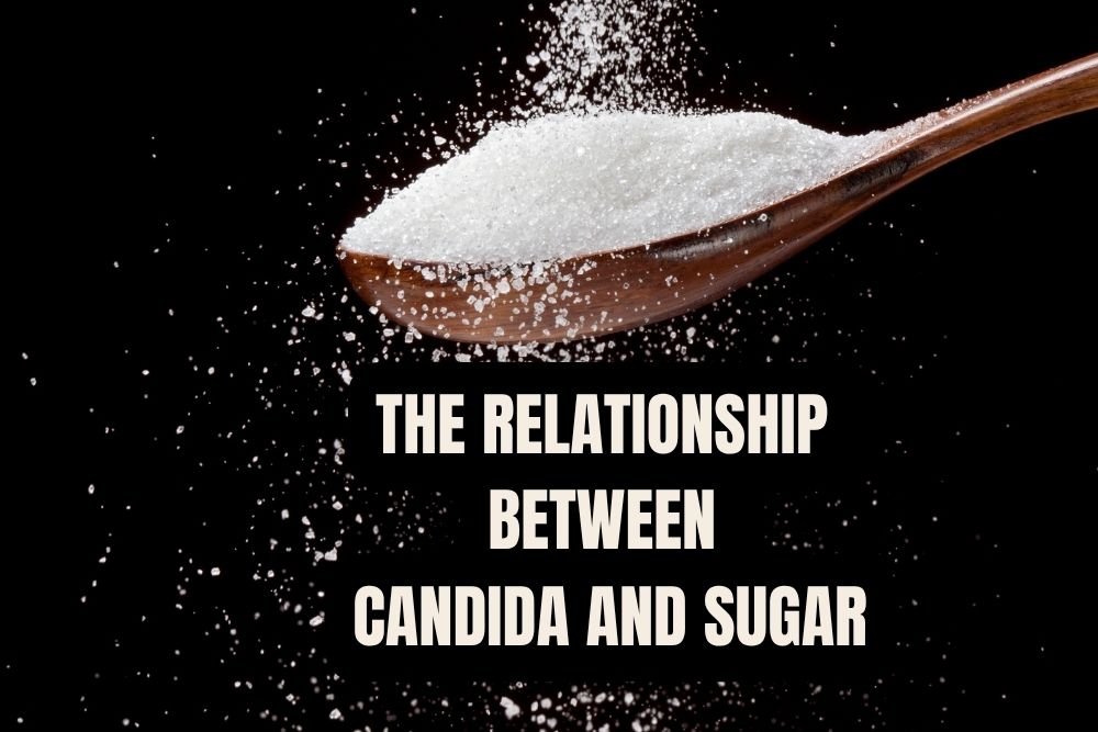 THE RELATIONSHIP BETWEEN SUGAR AND CANDIDA - EXPLORING THE CONNECTION